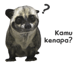 Mumu the Cute Asian Palm Civet sticker #14726695
