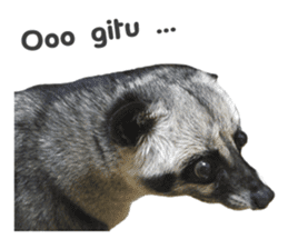 Mumu the Cute Asian Palm Civet sticker #14726696