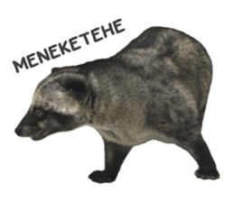 Mumu the Cute Asian Palm Civet sticker #14726697