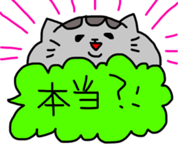 cat sticker tama5 sticker #14727210