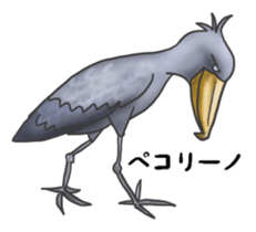 The charming balaeniceps sticker #14728585