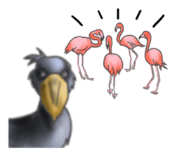 The charming balaeniceps sticker #14728621