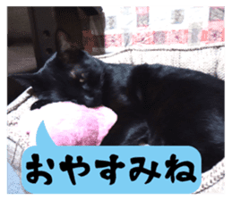 Murmur of black cat KURONYAN sticker #14728663
