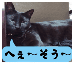 Murmur of black cat KURONYAN sticker #14728669