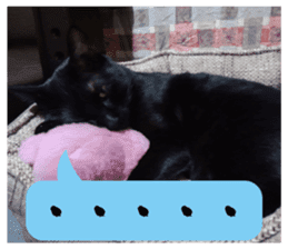 Murmur of black cat KURONYAN sticker #14728671