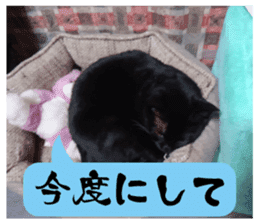 Murmur of black cat KURONYAN sticker #14728672