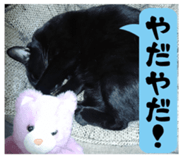 Murmur of black cat KURONYAN sticker #14728674