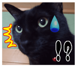 Murmur of black cat KURONYAN sticker #14728675