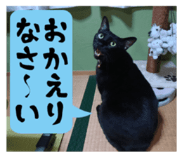 Murmur of black cat KURONYAN sticker #14728678