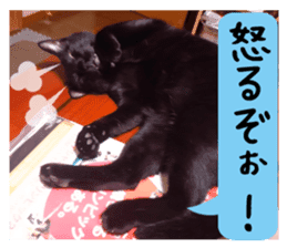 Murmur of black cat KURONYAN sticker #14728679