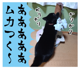 Murmur of black cat KURONYAN sticker #14728685