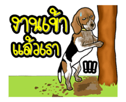 Enjoy Beagle(Beagle Animation) sticker #14729305