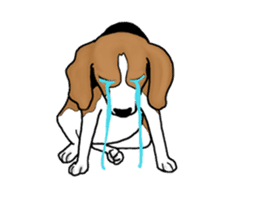 Enjoy Beagle(Beagle Animation) sticker #14729309