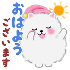 cute white Pomeranian 2 sticker #14729950
