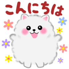 cute white Pomeranian 2 sticker #14729951