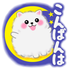 cute white Pomeranian 2 sticker #14729952