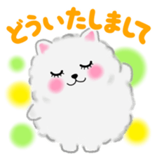 cute white Pomeranian 2 sticker #14729956