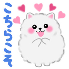 cute white Pomeranian 2 sticker #14729957