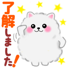 cute white Pomeranian 2 sticker #14729958