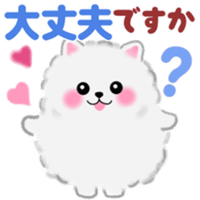 cute white Pomeranian 2 sticker #14729962