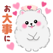 cute white Pomeranian 2 sticker #14729964