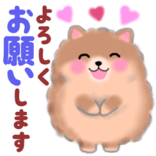 cute white Pomeranian 2 sticker #14729965