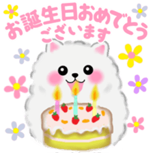 cute white Pomeranian 2 sticker #14729967