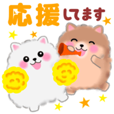 cute white Pomeranian 2 sticker #14729968