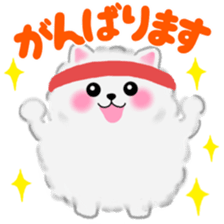 cute white Pomeranian 2 sticker #14729969