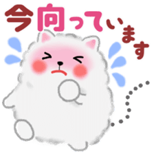 cute white Pomeranian 2 sticker #14729971