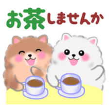 cute white Pomeranian 2 sticker #14729975
