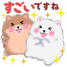 cute white Pomeranian 2 sticker #14729978