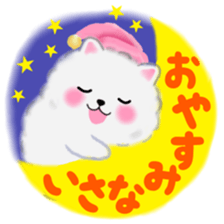cute white Pomeranian 2 sticker #14729989
