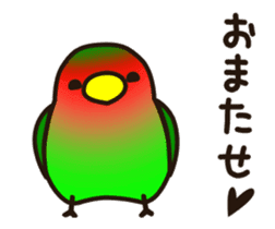 Lovebird [Ver7](move/start and close) sticker #14731823