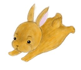 rabbit netherland dwarf. Cute USAGI! sticker #14734308
