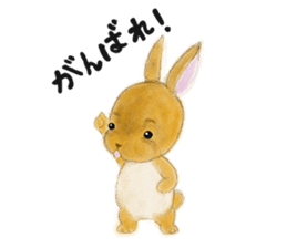 rabbit netherland dwarf. Cute USAGI! sticker #14734309