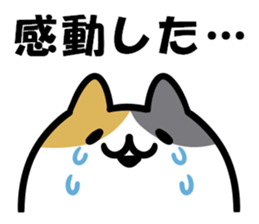 Positive words and cats sticker #14734825