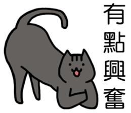 cat my friend2 sticker #14734953