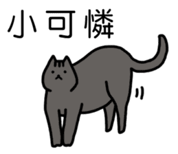 cat my friend2 sticker #14734967