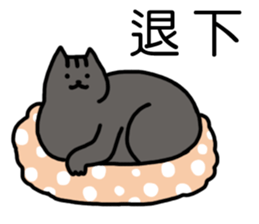 cat my friend2 sticker #14734970