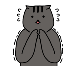 cat my friend2 sticker #14734972