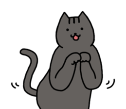 cat my friend2 sticker #14734975