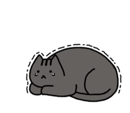 cat my friend2 sticker #14734976