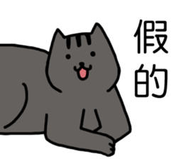 cat my friend2 sticker #14734981