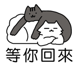 cat my friend2 sticker #14734987