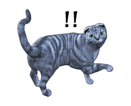 Moving Scottish Fold Cat sticker #14736146