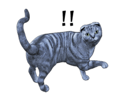 Moving Scottish Fold Cat sticker #14736146