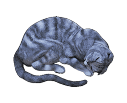 Moving Scottish Fold Cat sticker #14736157
