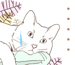 Scandinavian style cat sticker sticker #14736232