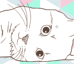 Scandinavian style cat sticker sticker #14736233